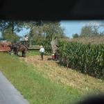 2017OTRA-1_404 (August 24, 2017)